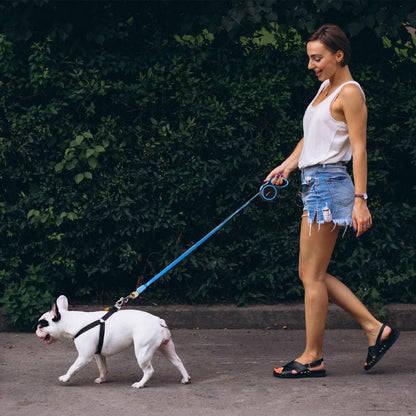 PawPrime Secure Leash