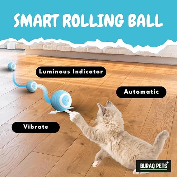 PawChase 360 Gravity Ball