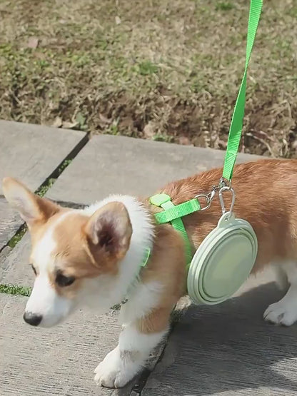 PawsEase Foldable Silicone Pet Bowl