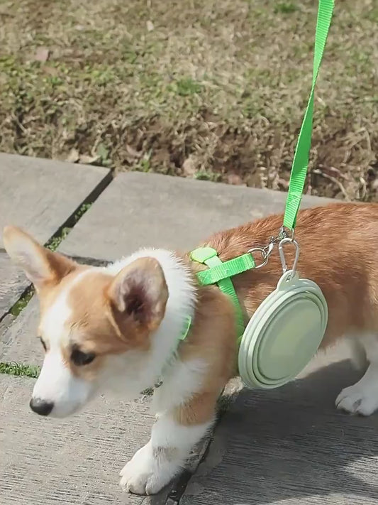 PawsEase Foldable Silicone Pet Bowl
